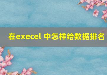 在execel 中怎样给数据排名